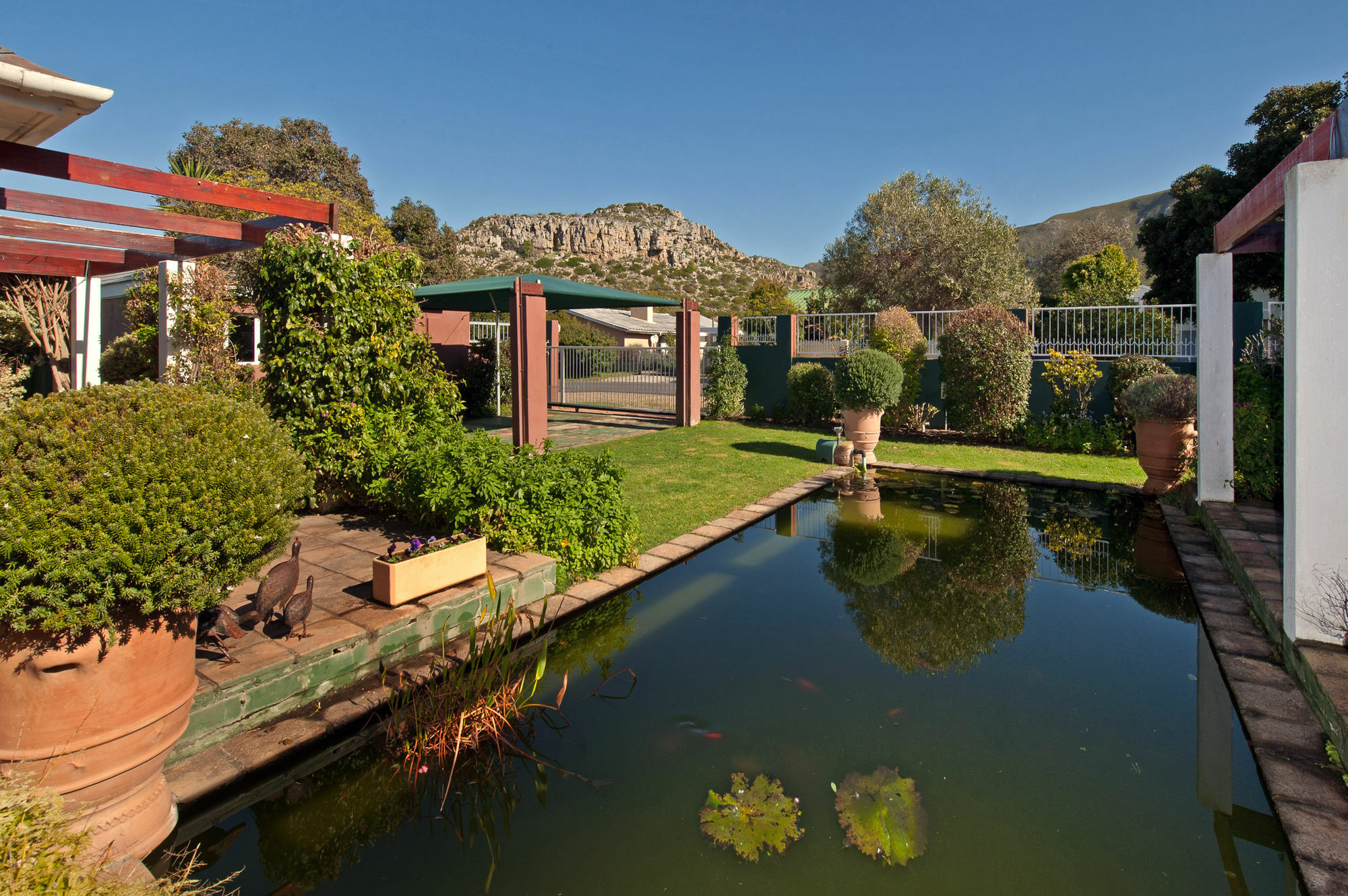 Brown Jug Guest House Hermanus Extérieur photo
